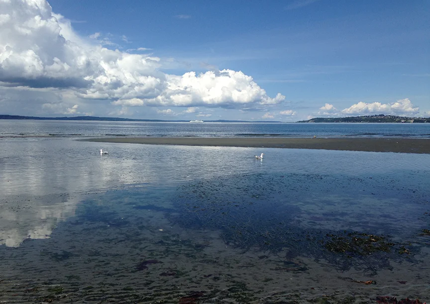 West Seattle