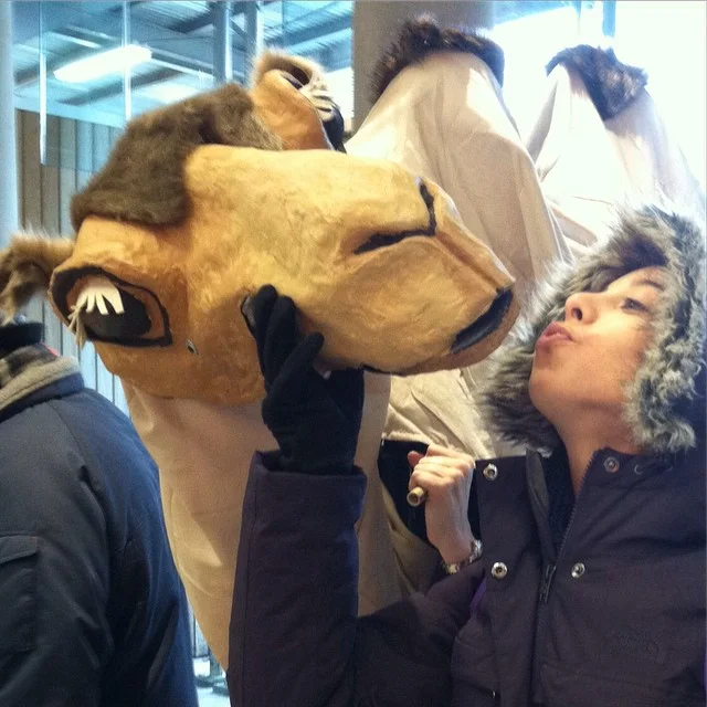Camilla the Camel for Three Kings Parade 2015