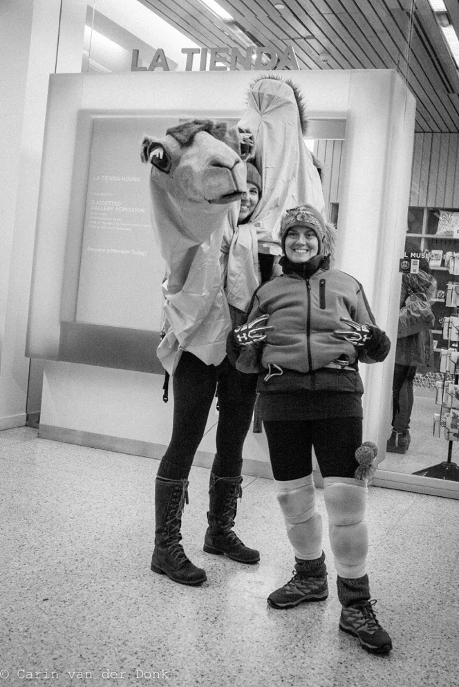 Camilla the Camel for the 40th Annual Three Kings Day Parade 2017 - photo by Carin van der Donk