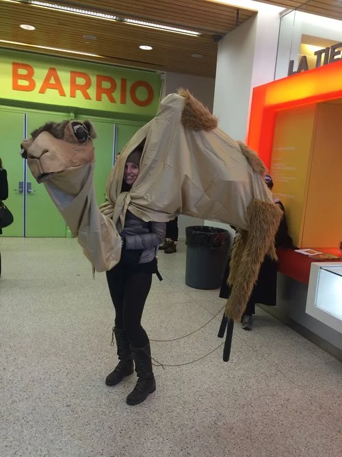 Sharon camel.jpg