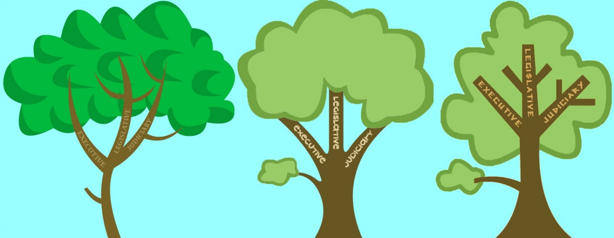 I wanted a cartoon-y feel, as Matt was jumping from real life to a dream.  I tried several iterations of characters and trees to achieve just the right feel.