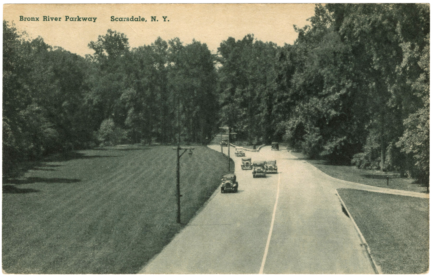 Bronx River Parkway