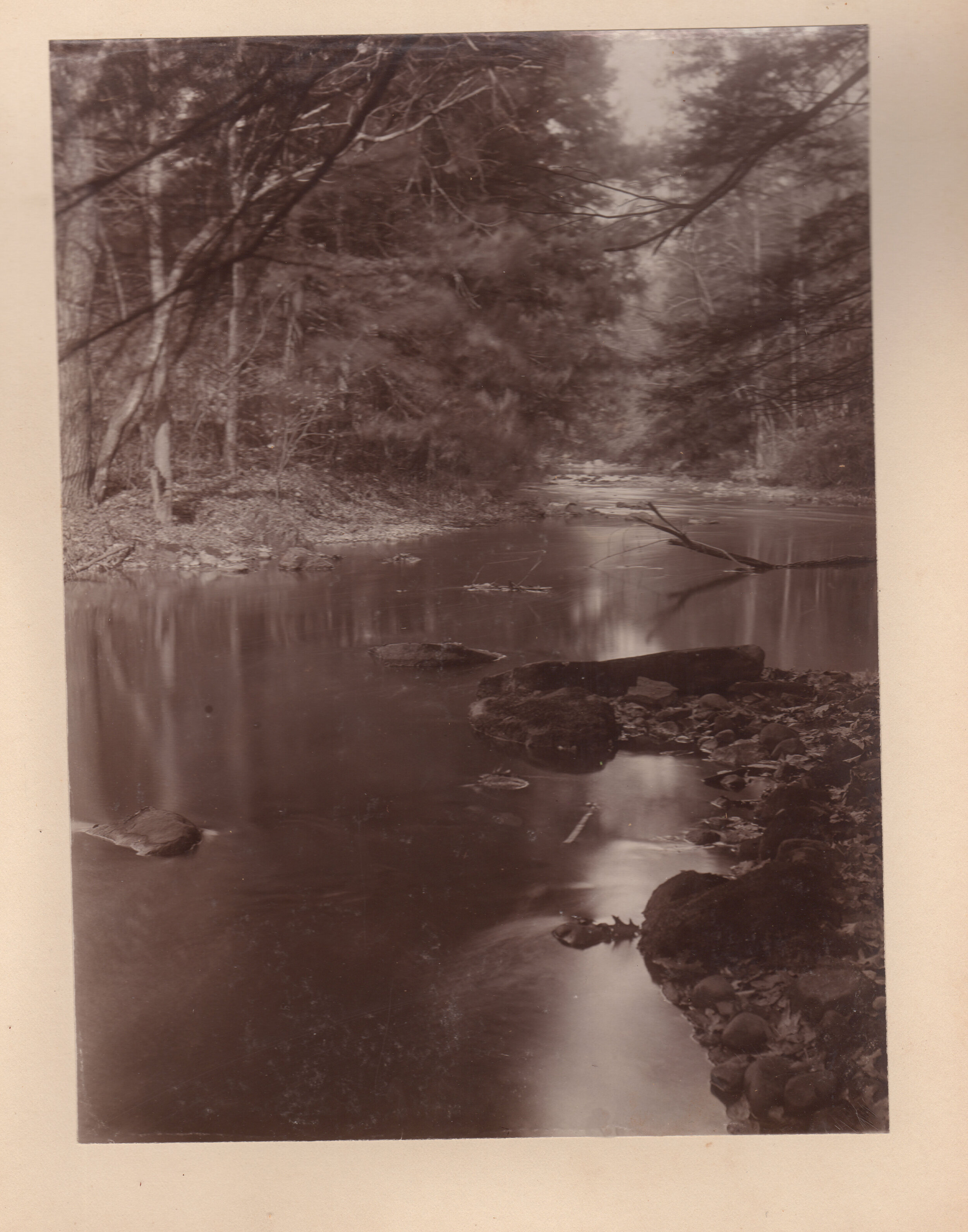 Bronx River stream