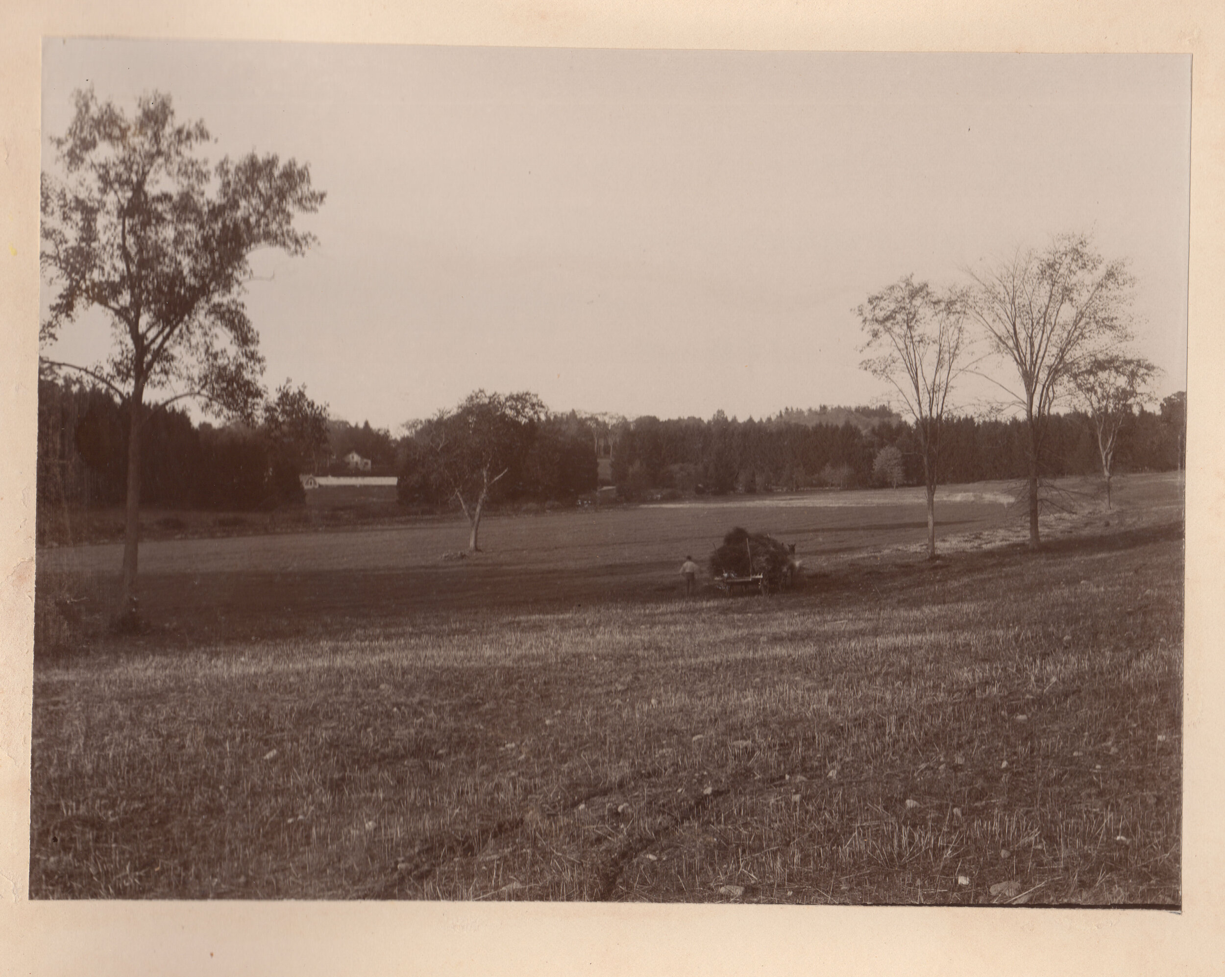 Farmhand with hay 