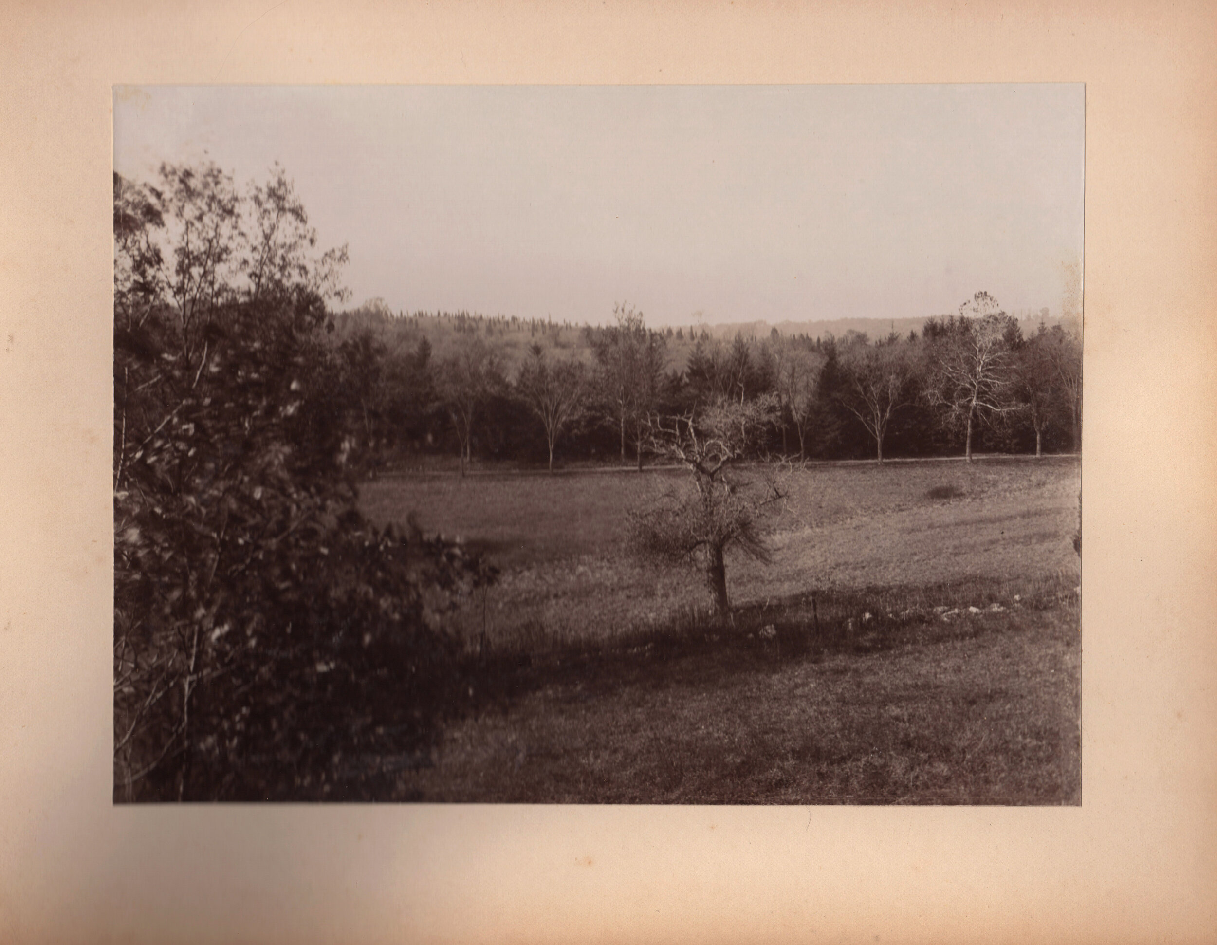 Landscape on the Butler Estate