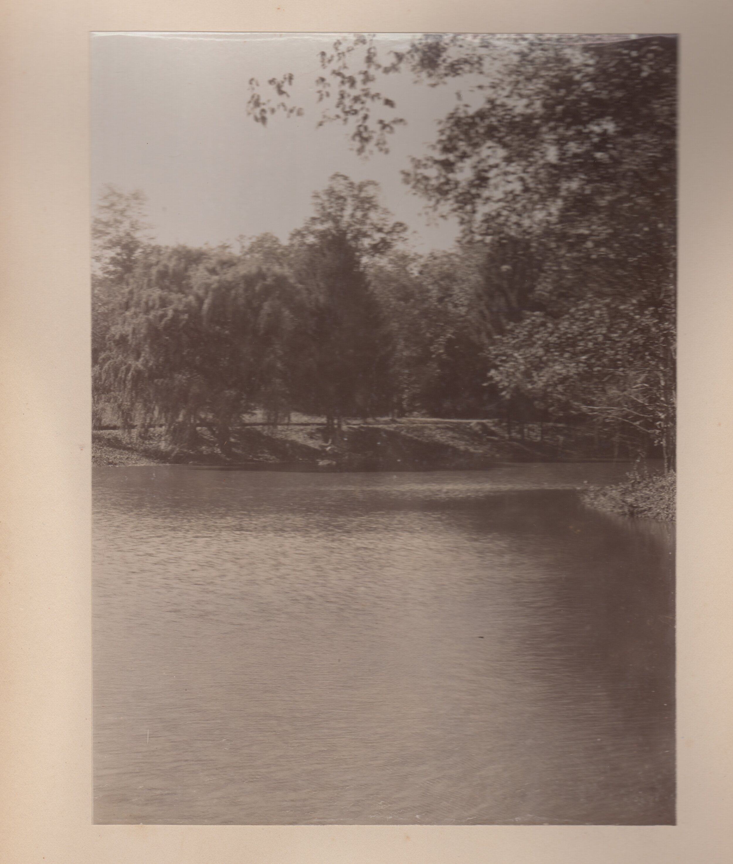 Pond near the Bronx River