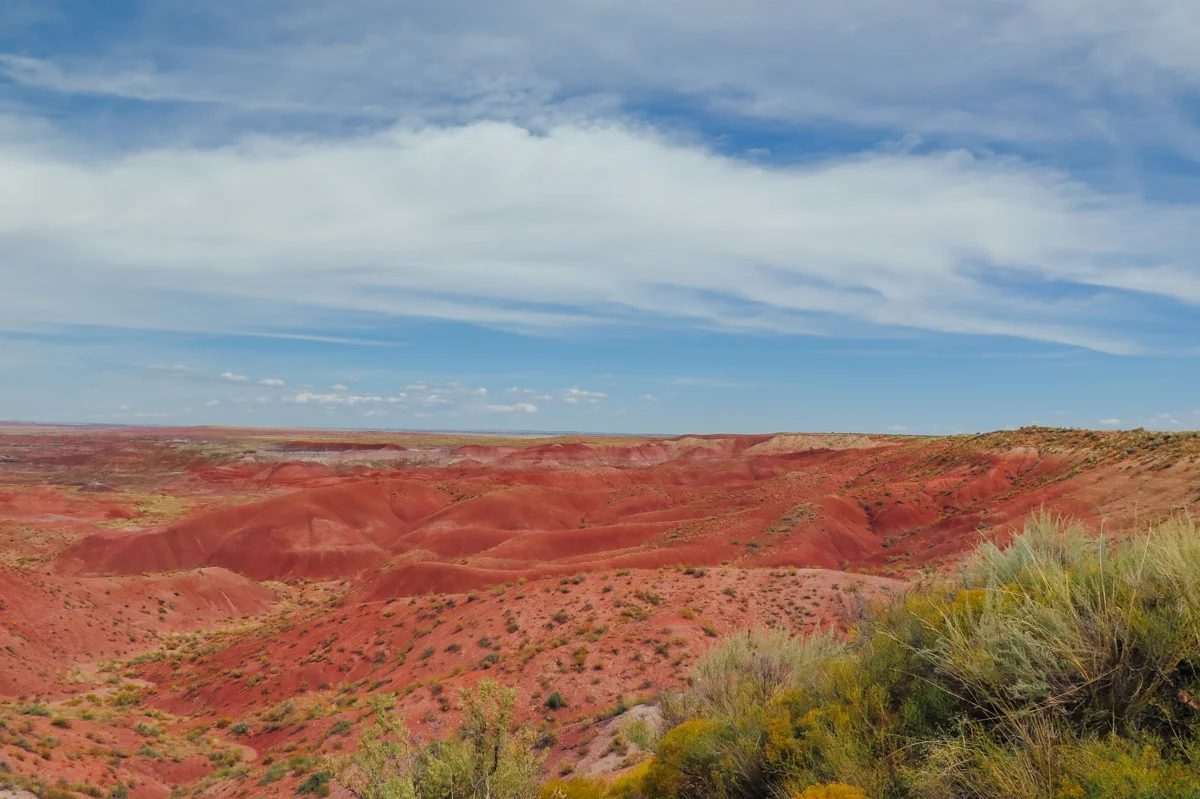 Petrified National Forest - Painted Desert