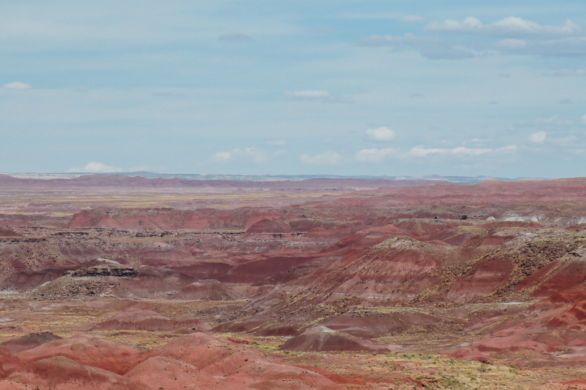 Petrified National Forest - Painted Desert