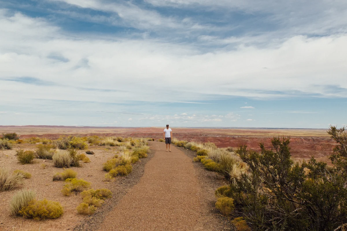 Petrified National Forest - Painted Desert