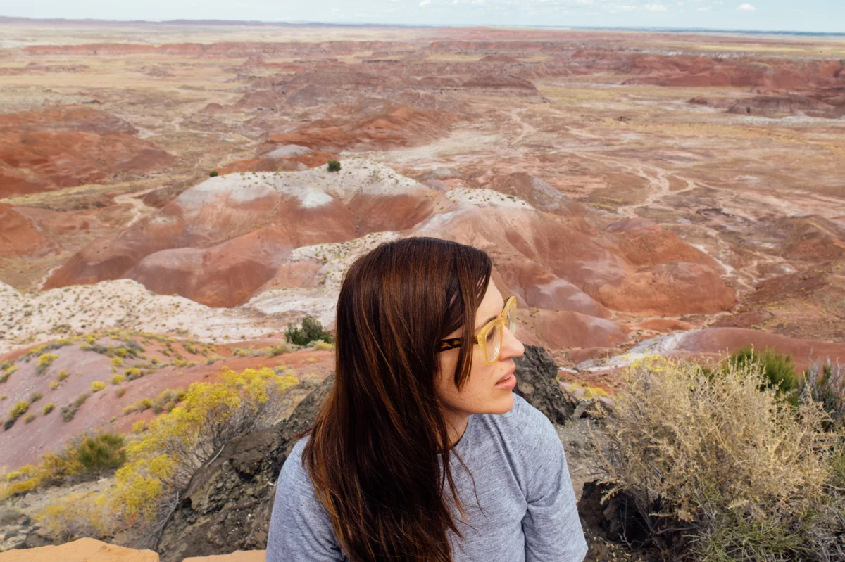 Petrified National Forest - Painted Desert