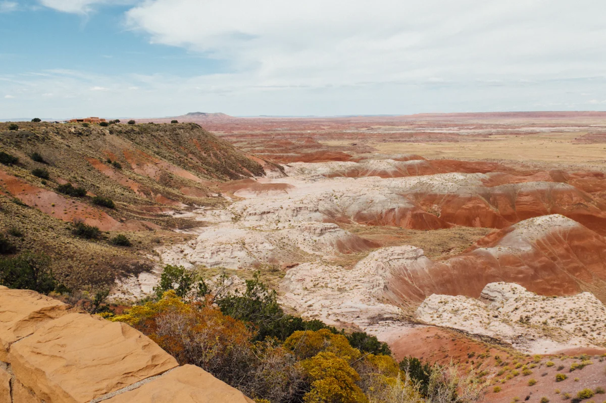 Petrified National Forest - Painted Desert