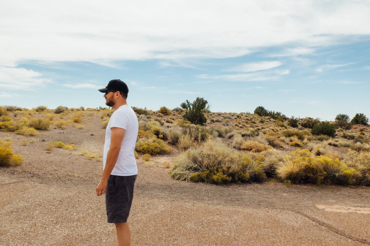 Petrified National Forest - Painted Desert