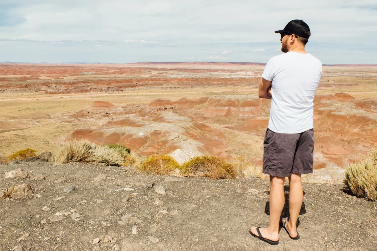 Petrified Forest National Park