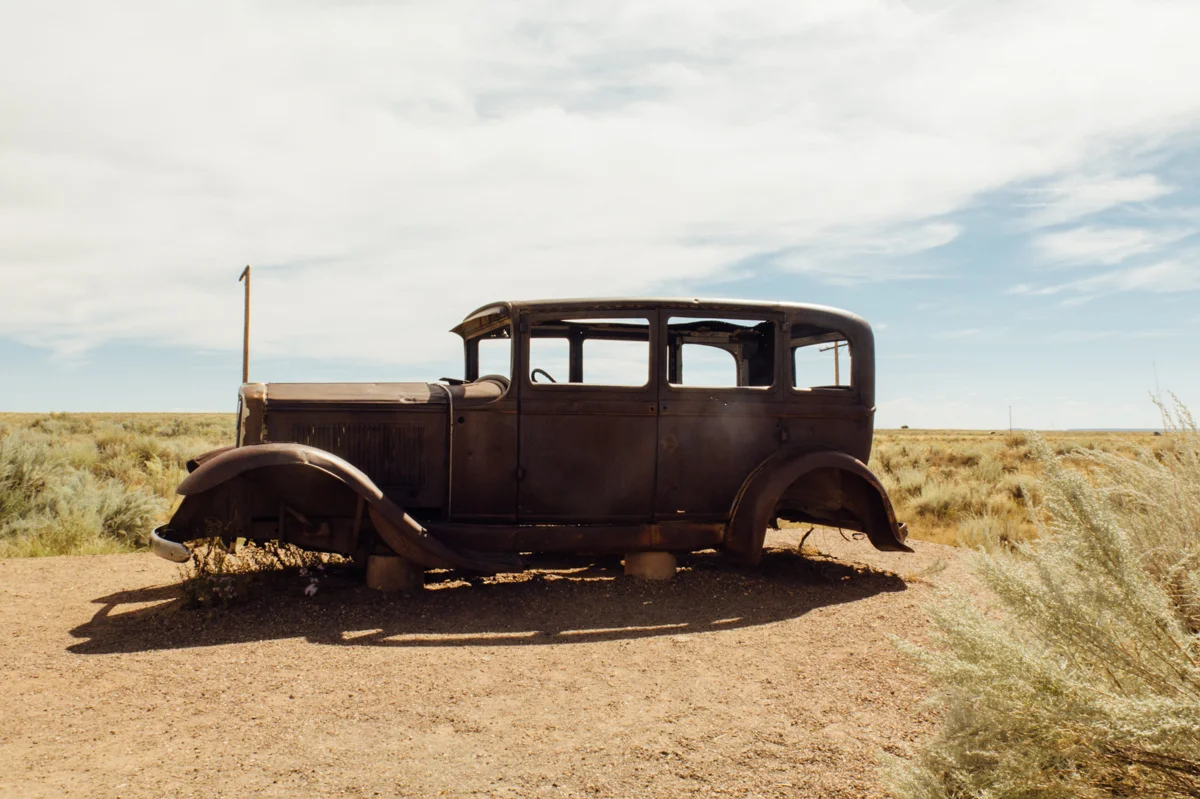 Petrified Forest National Park