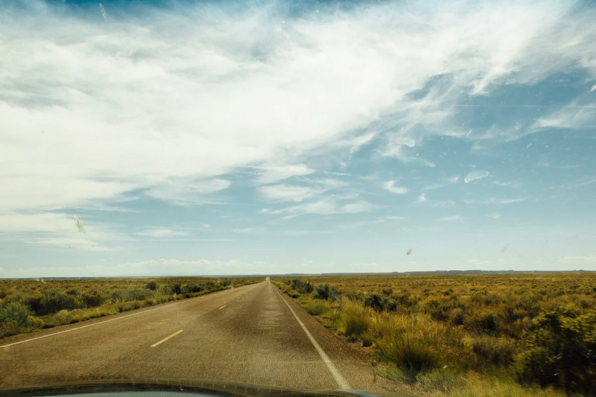 Petrified Forest National Park
