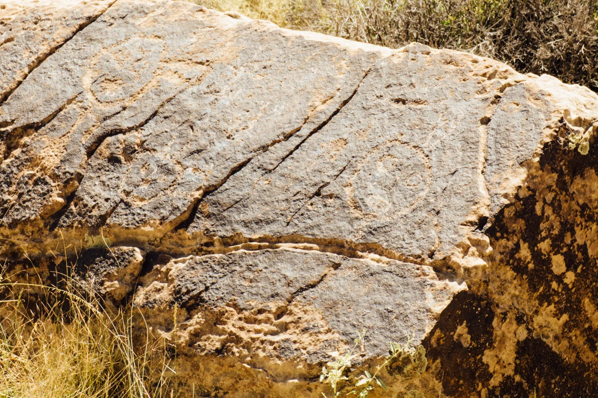 Petrified Forest National Park - Petroglyphs
