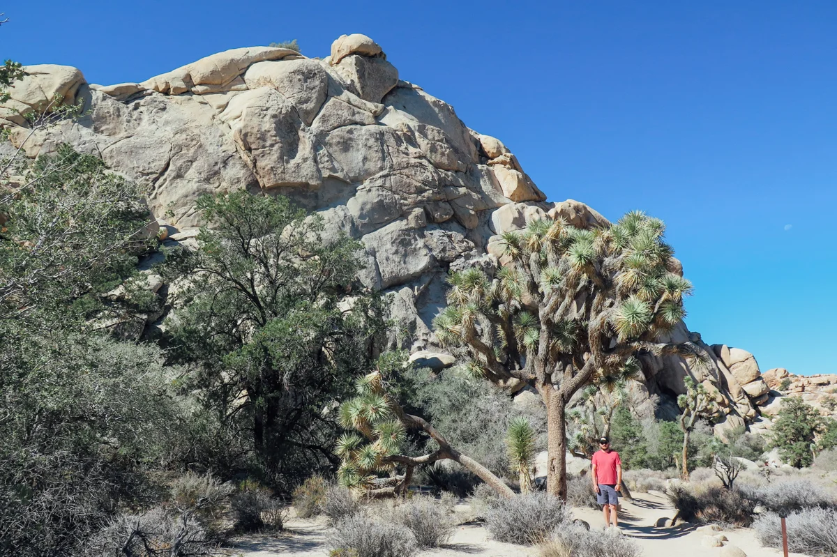 Joshua Tree National Park, CA