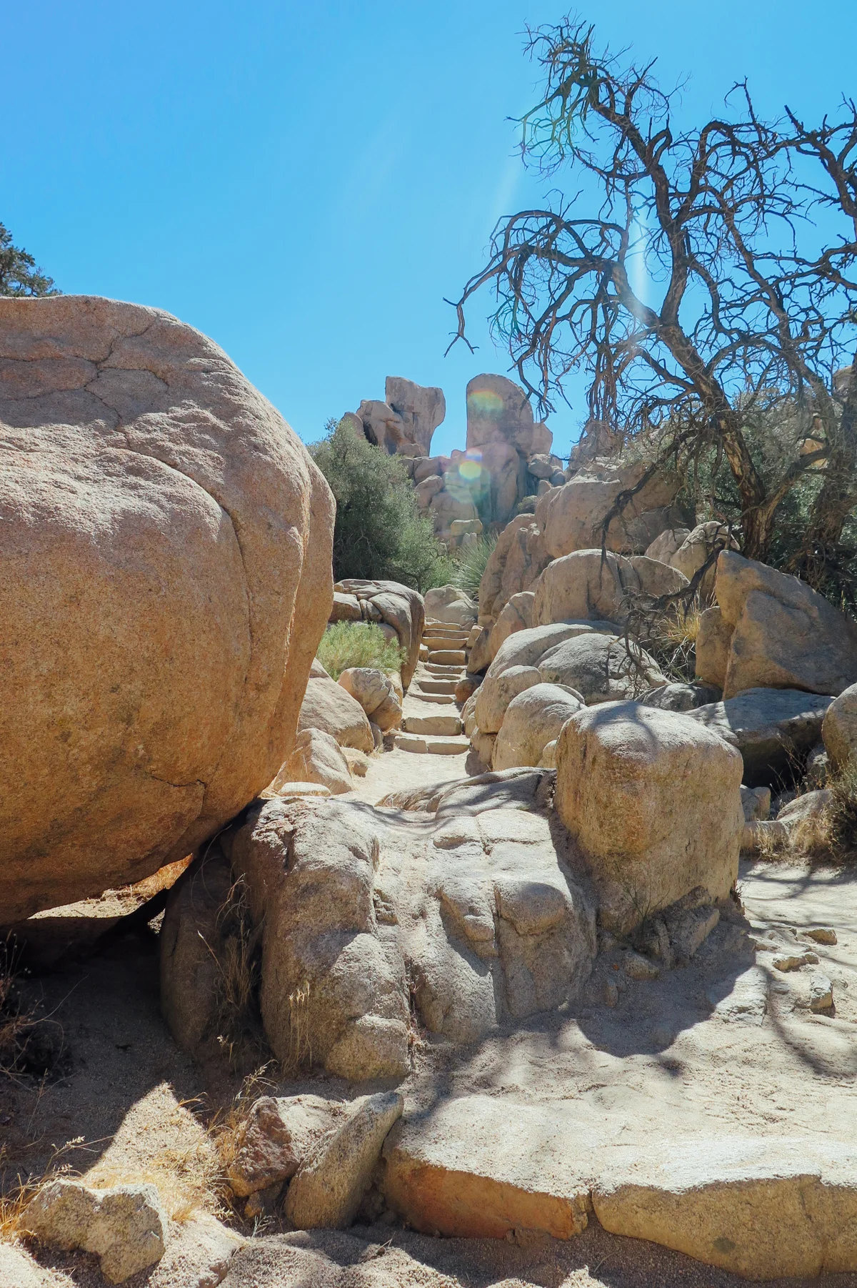 Joshua Tree National Park, CA