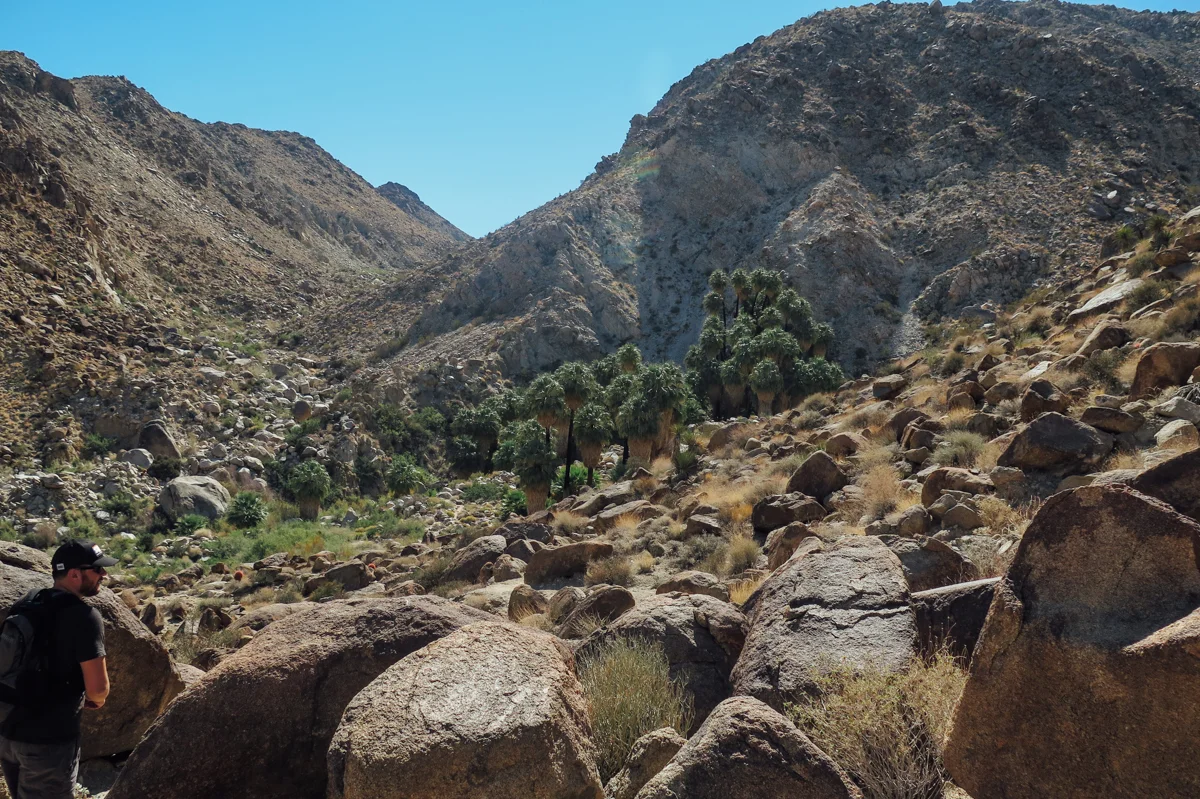 Fourtynine Palms Oasis - Joshua Tree, CA