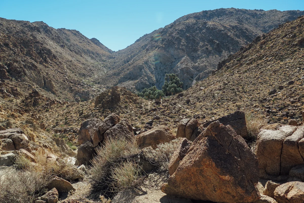 Fourtynine Palms Oasis - Joshua Tree, CA