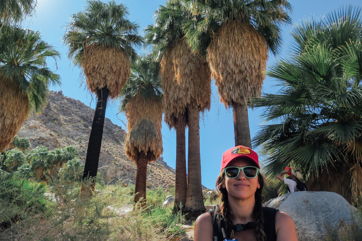 Fourtynine Palms Oasis - Joshua Tree, CA