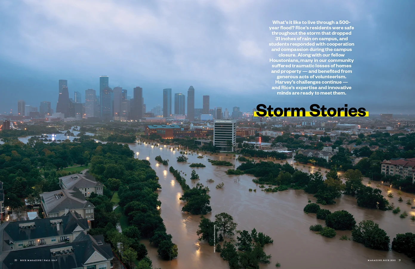 HarveySpread.jpg