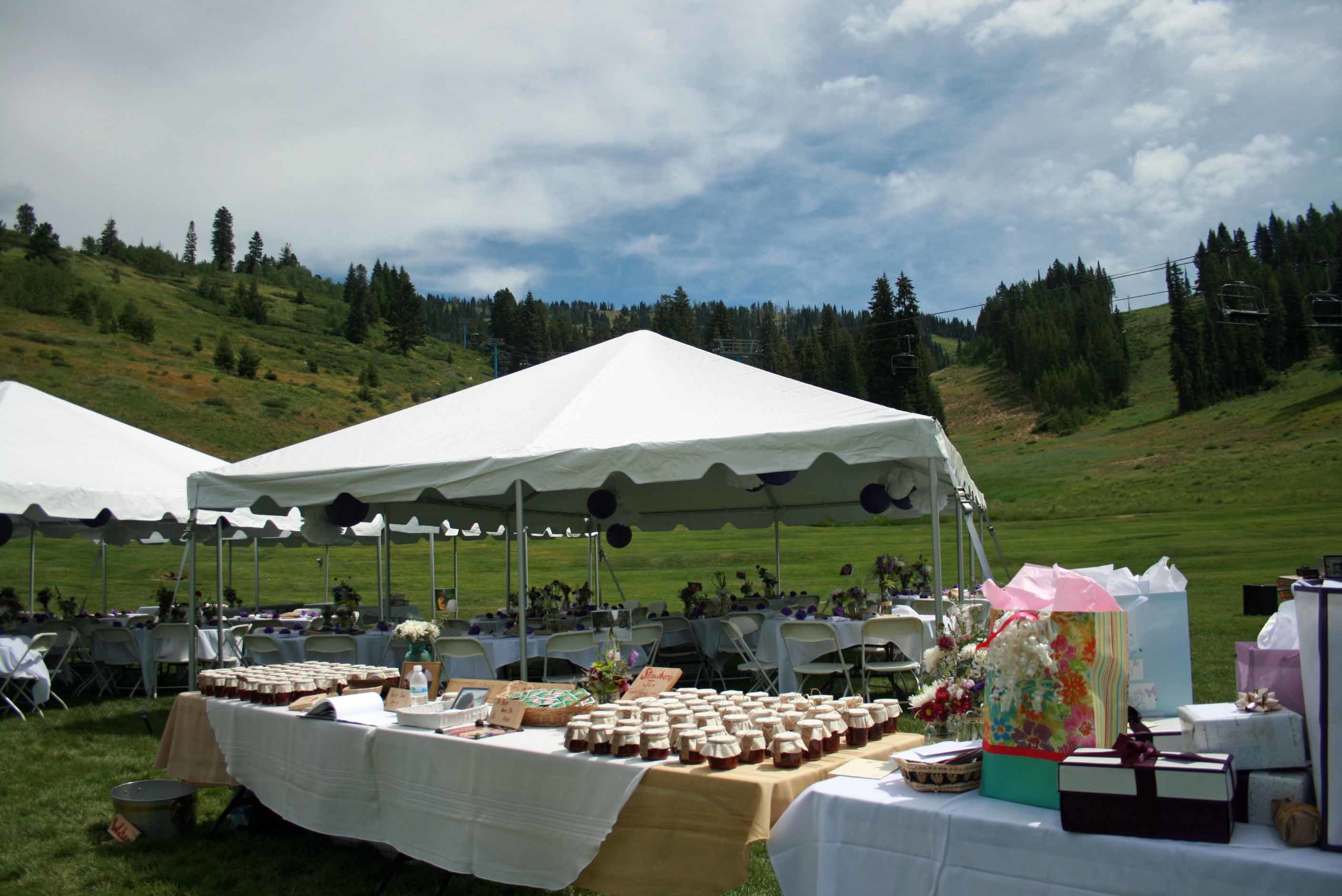 A2011WeddingBrundage.jpg