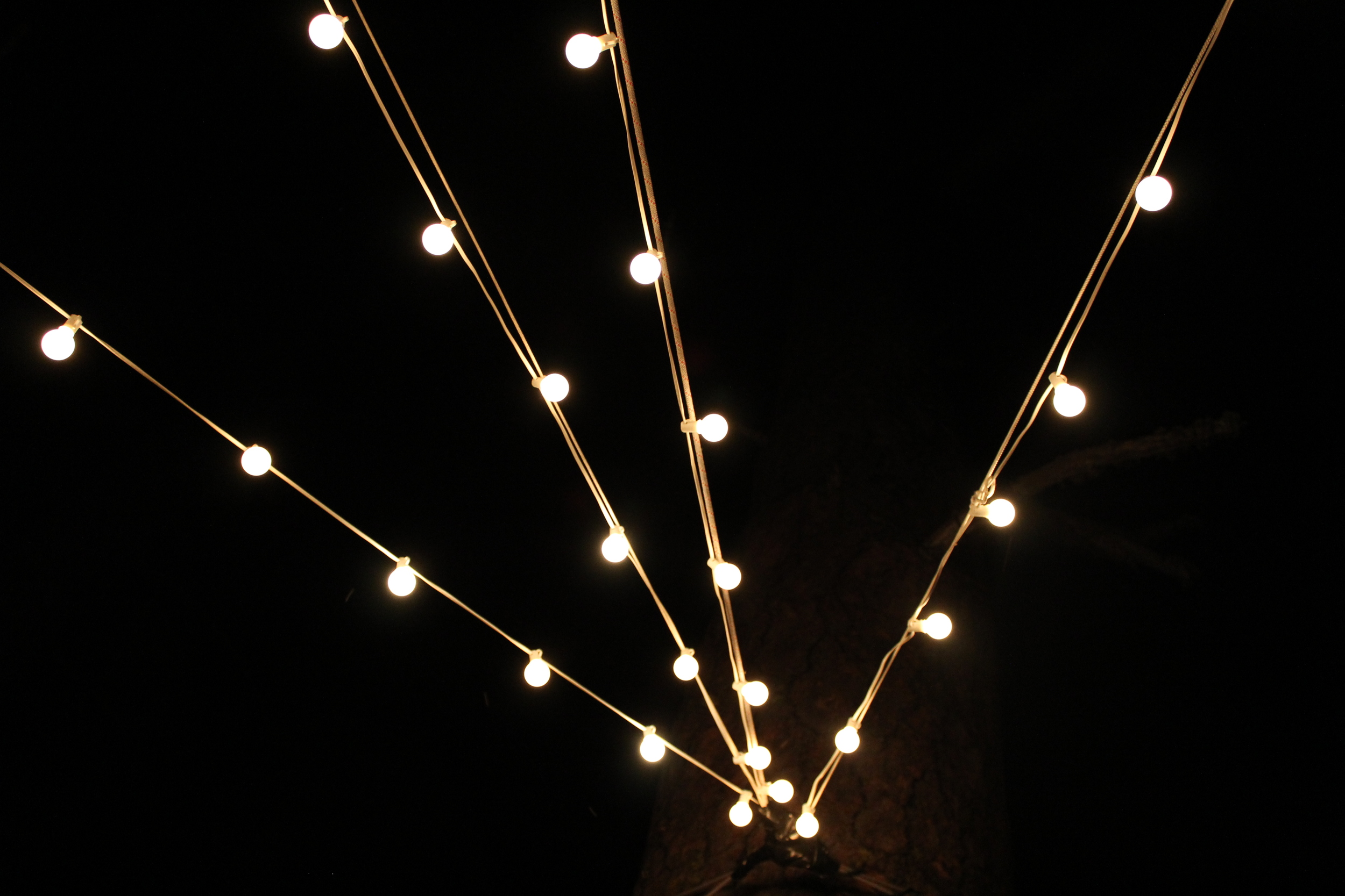 Lights.Ponderossa5.JPG