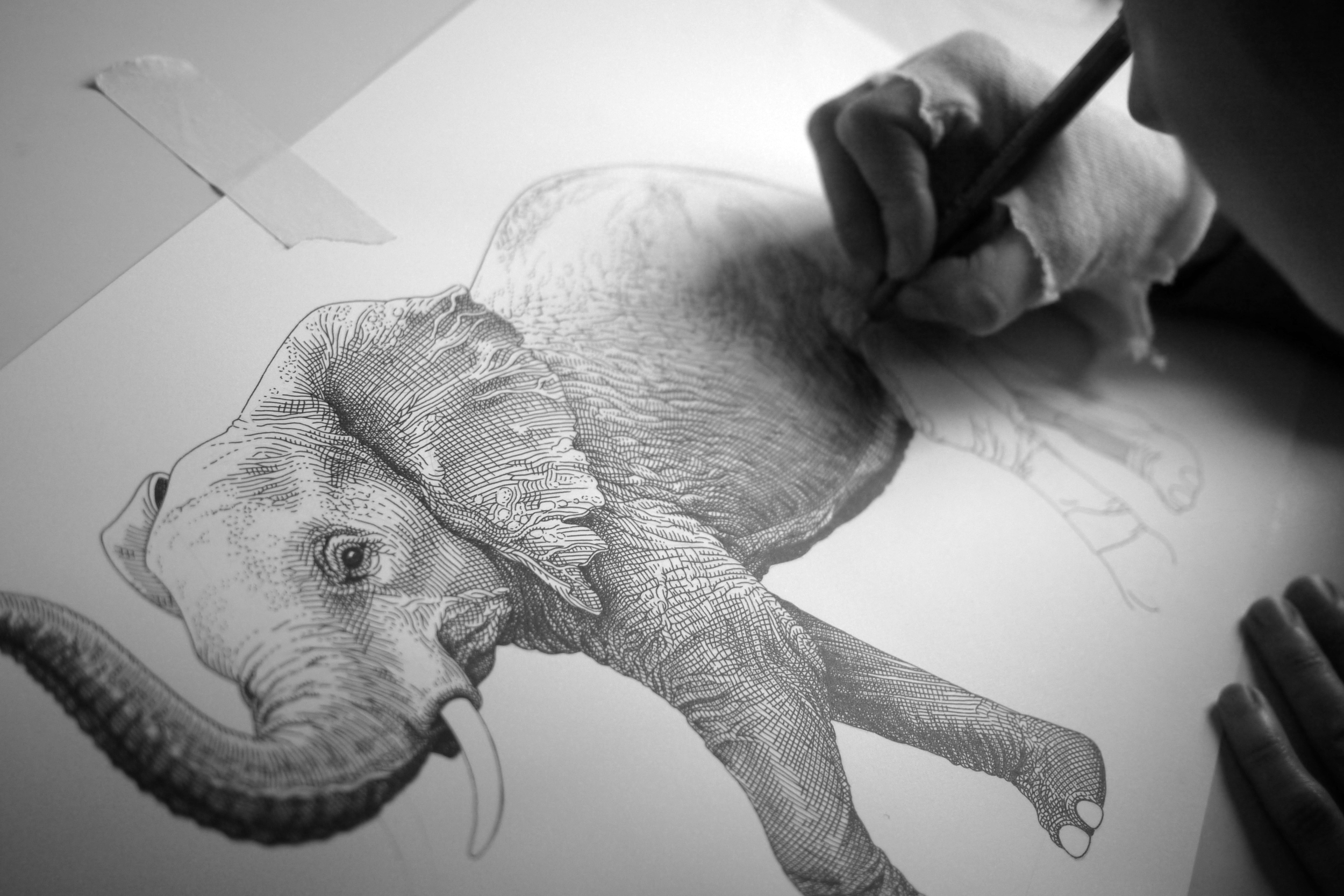 Elephant WIP2.jpg