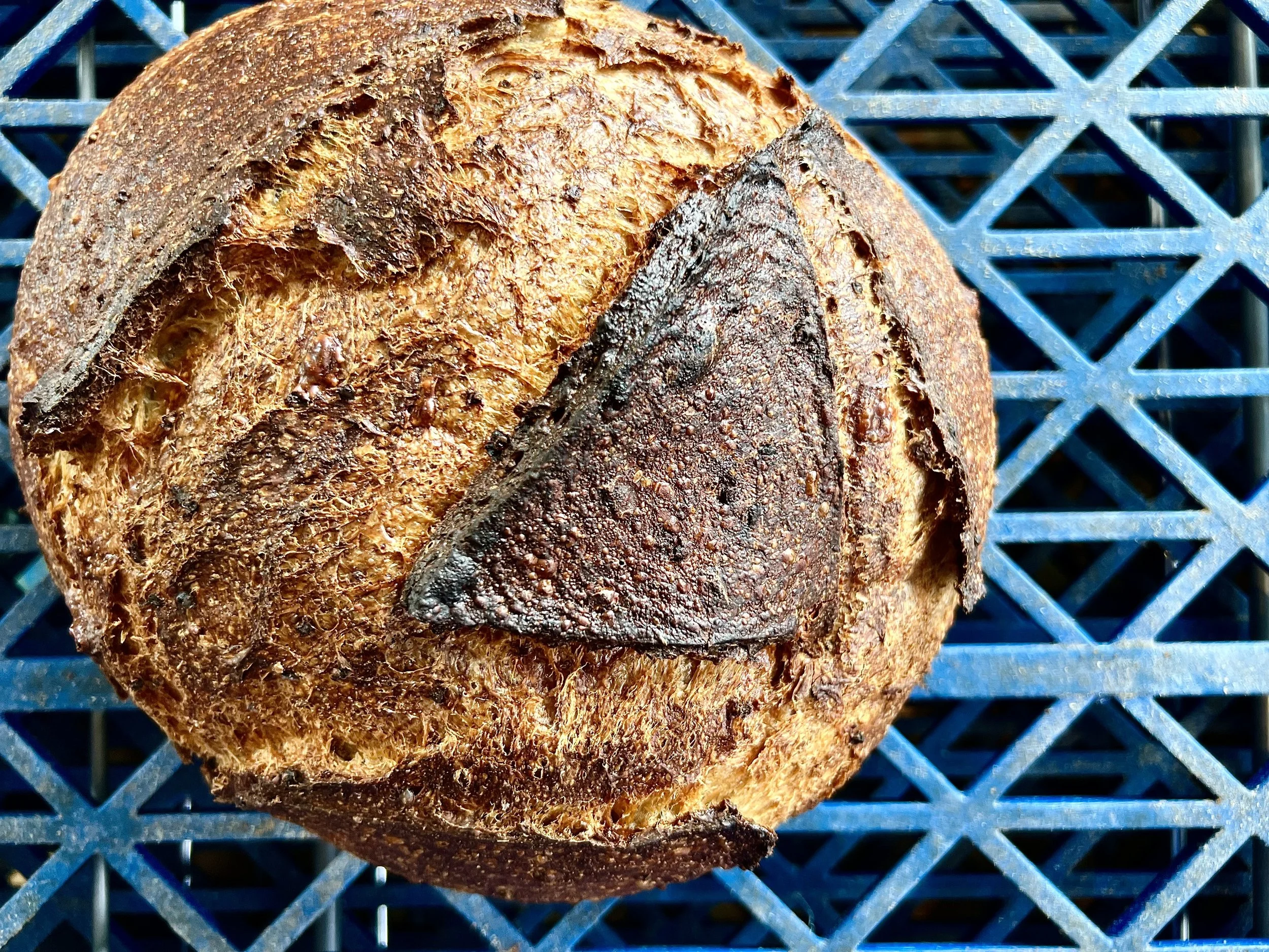 middle brow is... — middle brow