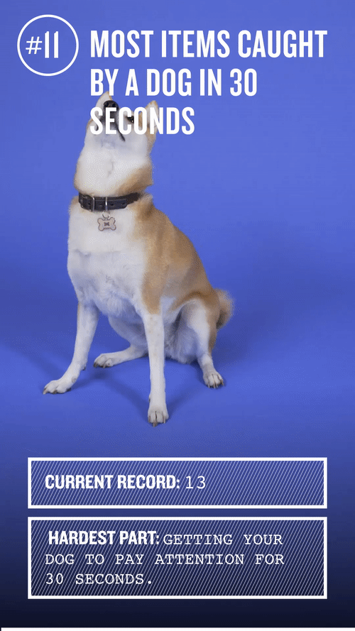 ezgif.com-video-to-gif (18).gif