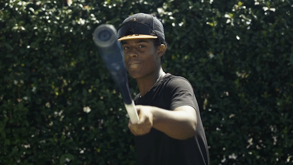 Sluggers_Logo Mock 01.gif