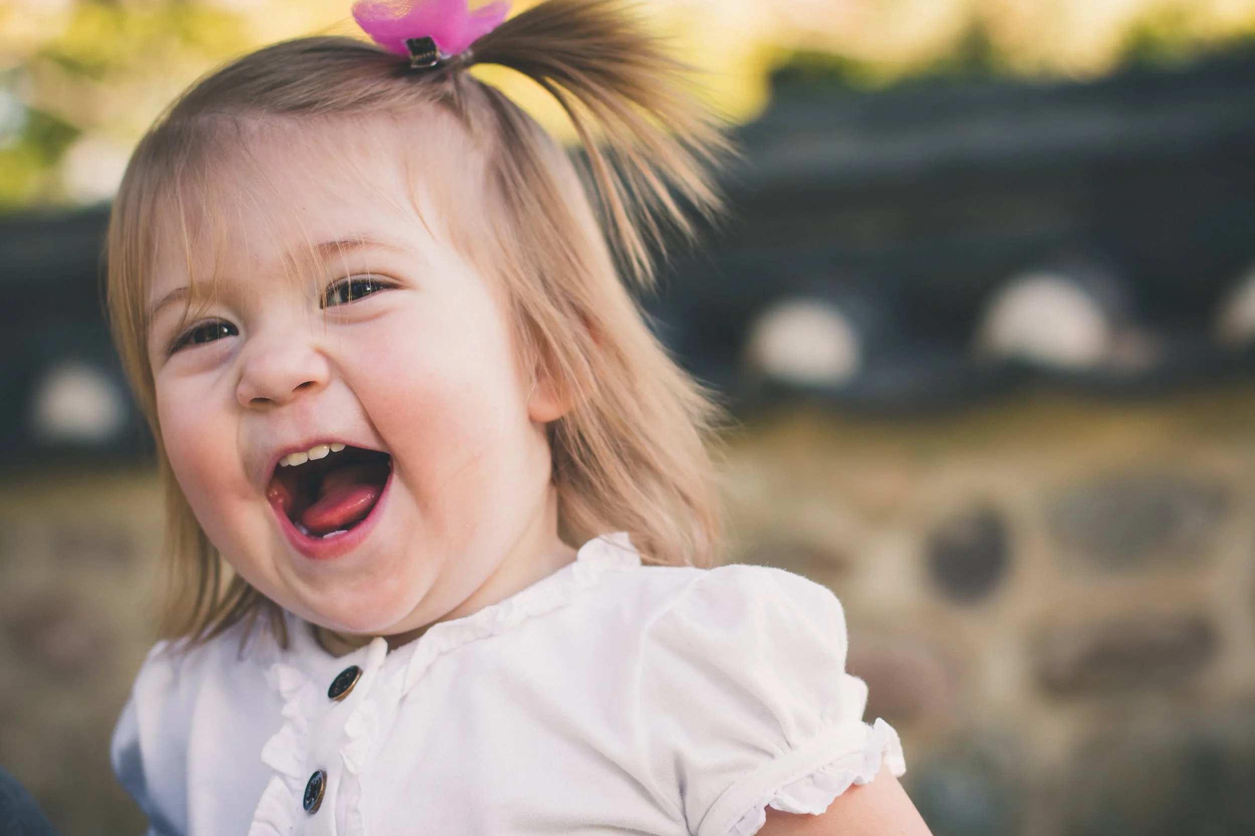 An Evening Garden Stroll 