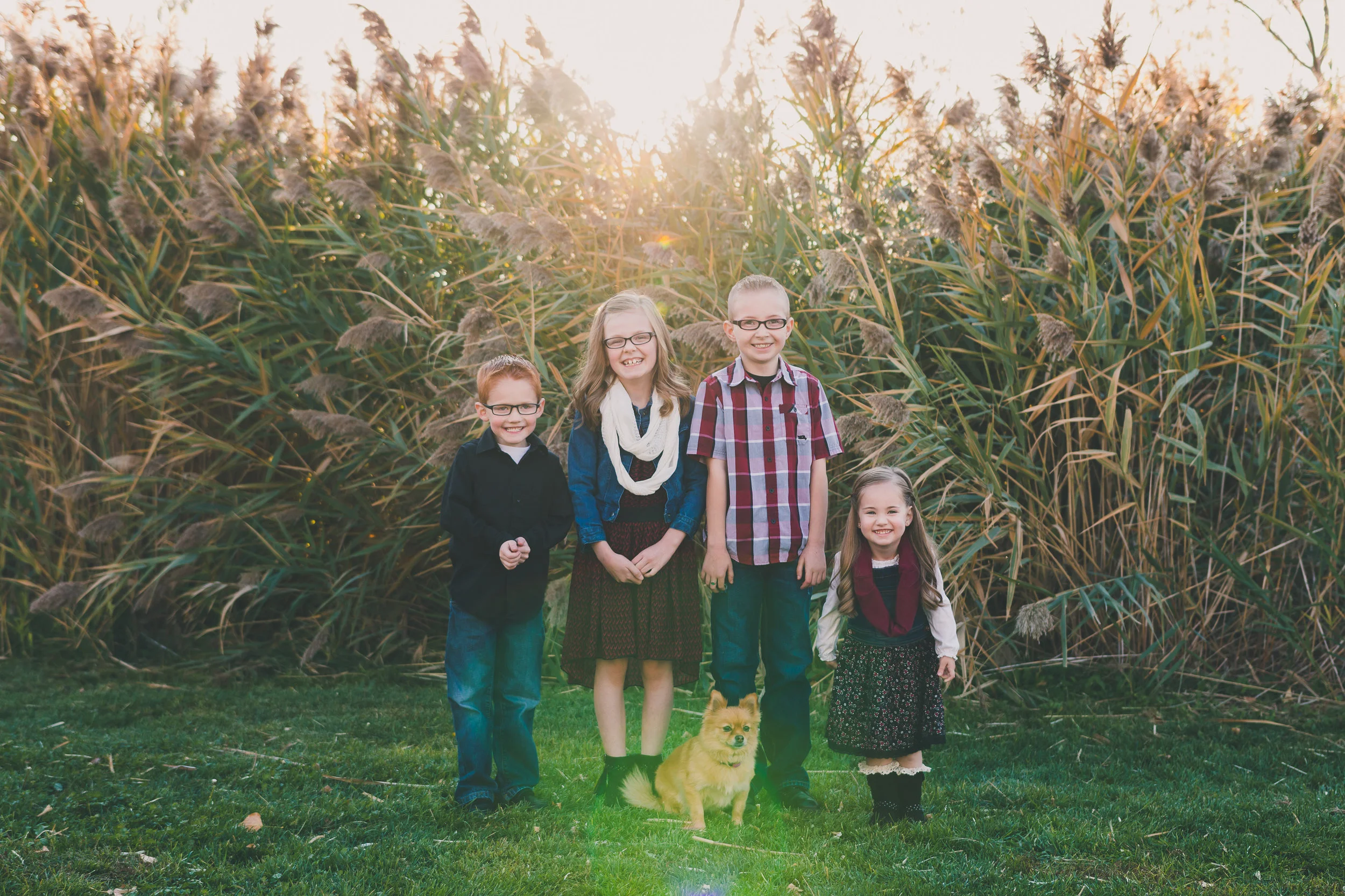 Lakeshore Autumn • Tooele Photographer