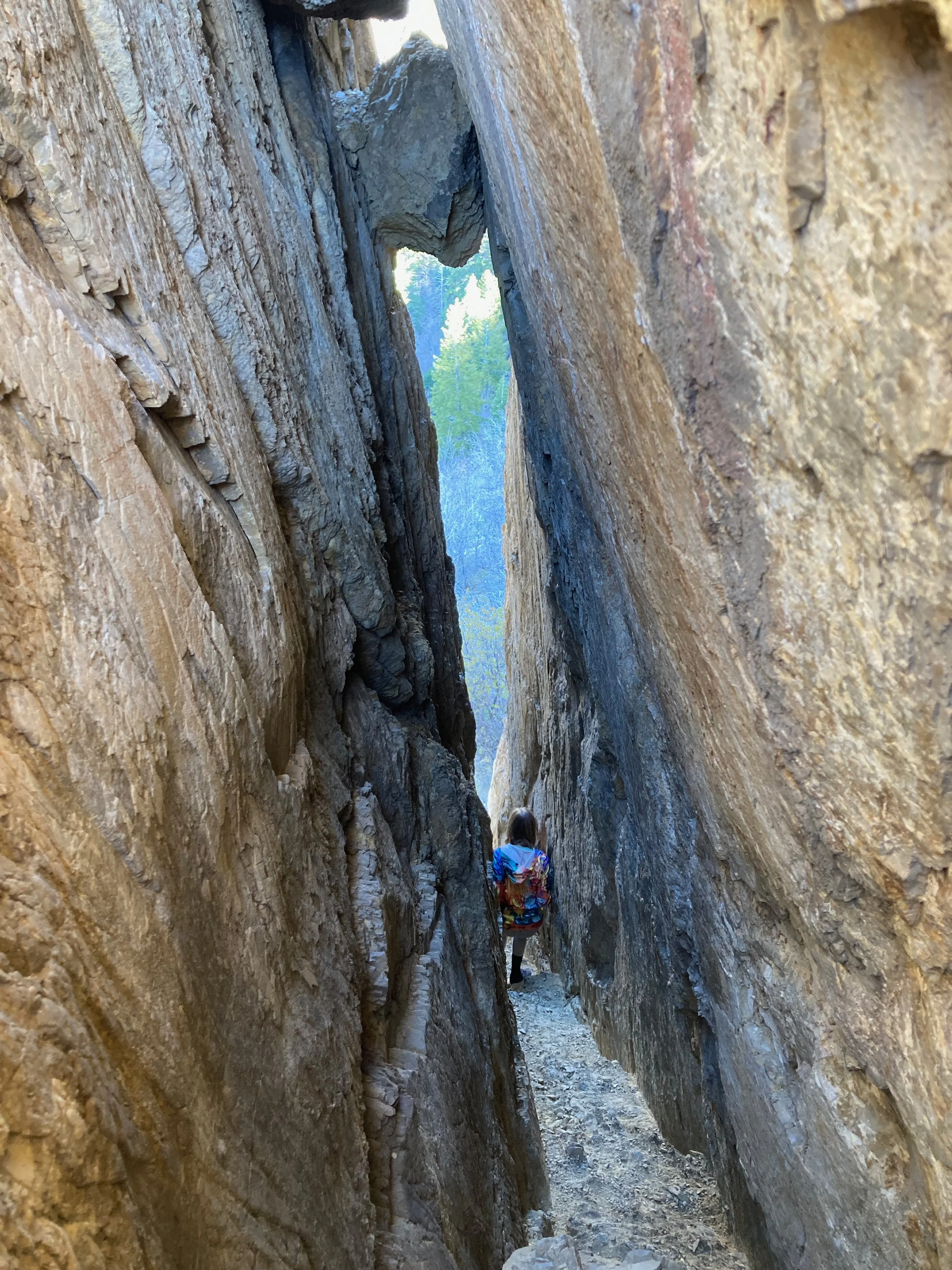  Descending the Secret Stairway in Middle Canyon 