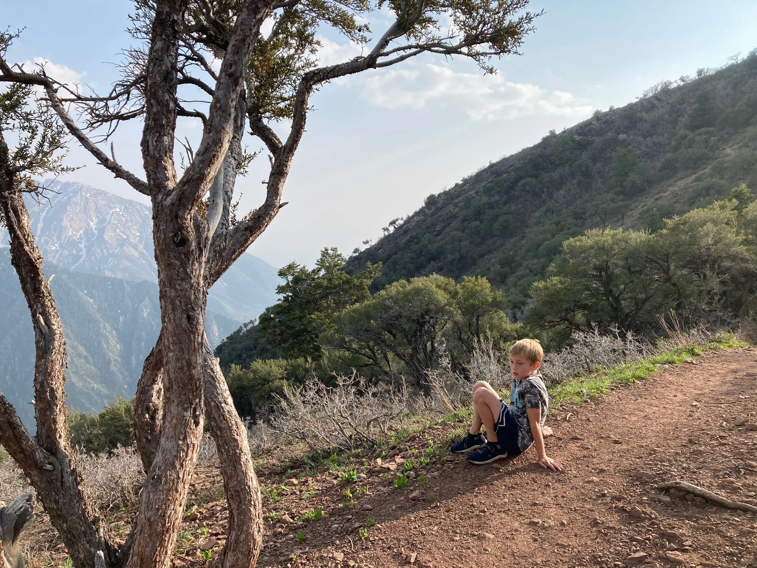  This pic and the next two are from a hike Max and I took up to the top of Grandeur Peak. It was fun to do it in early spring! 