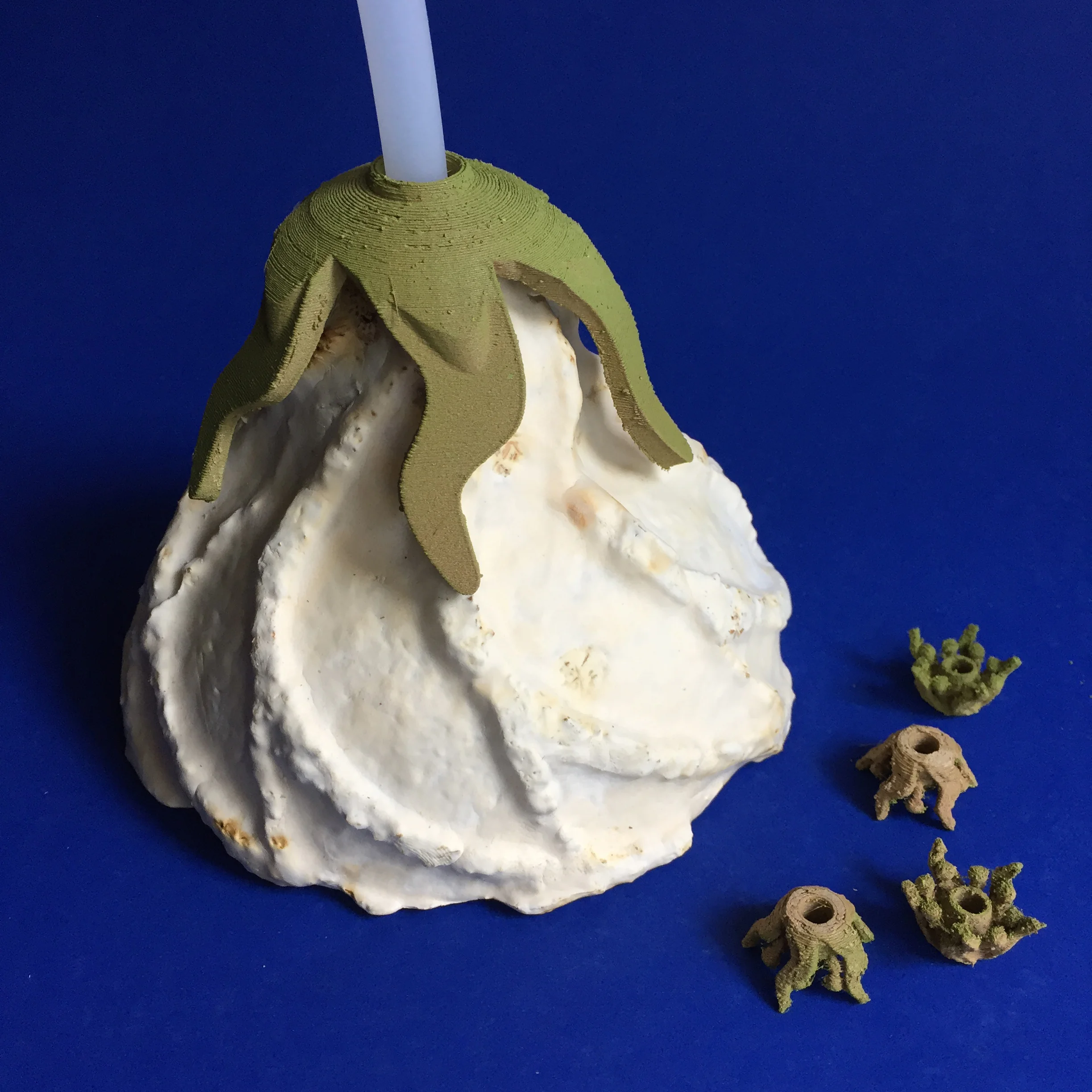 Detail of mycelium light shade.jpg