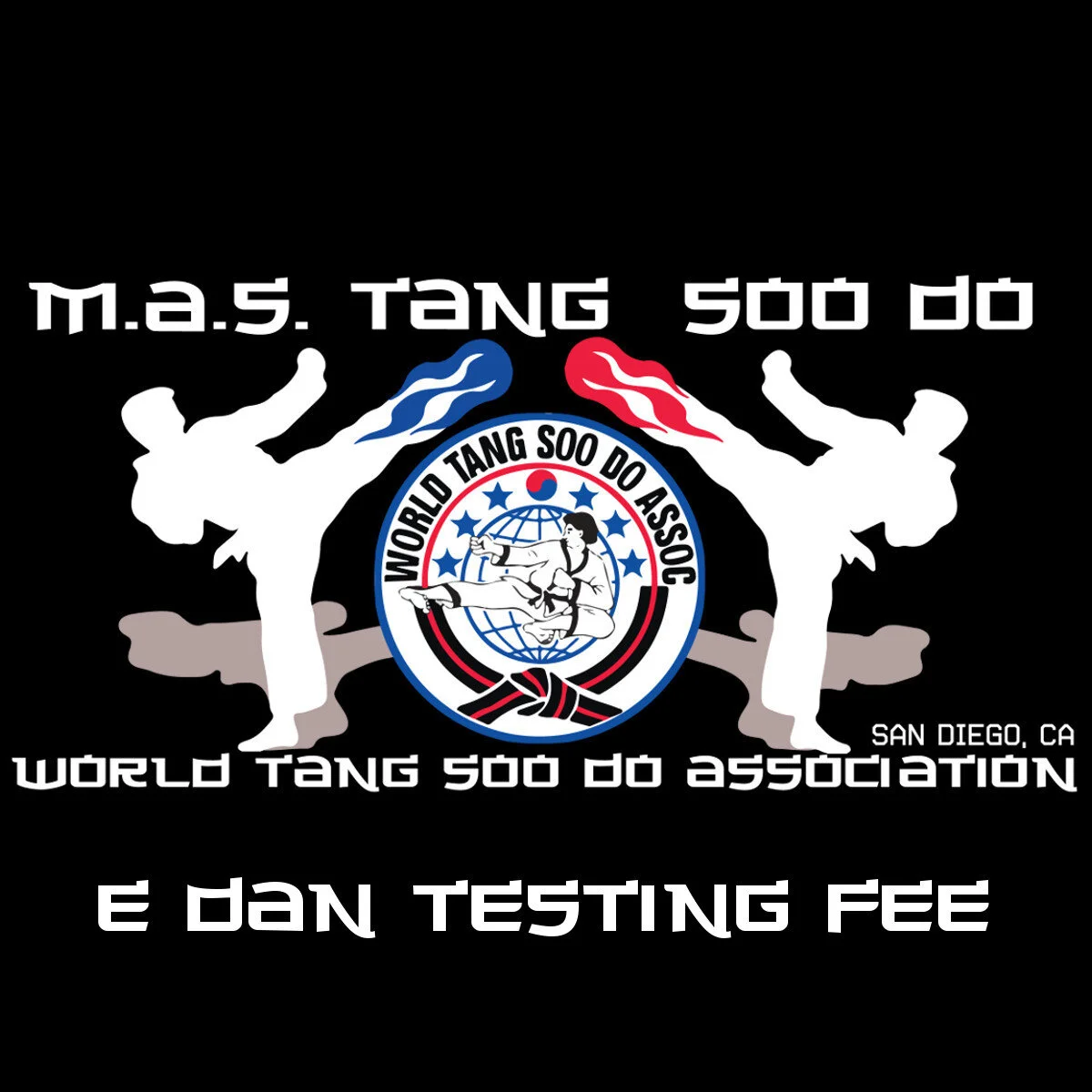MAS_E_Dan_Testing_Fee.jpg