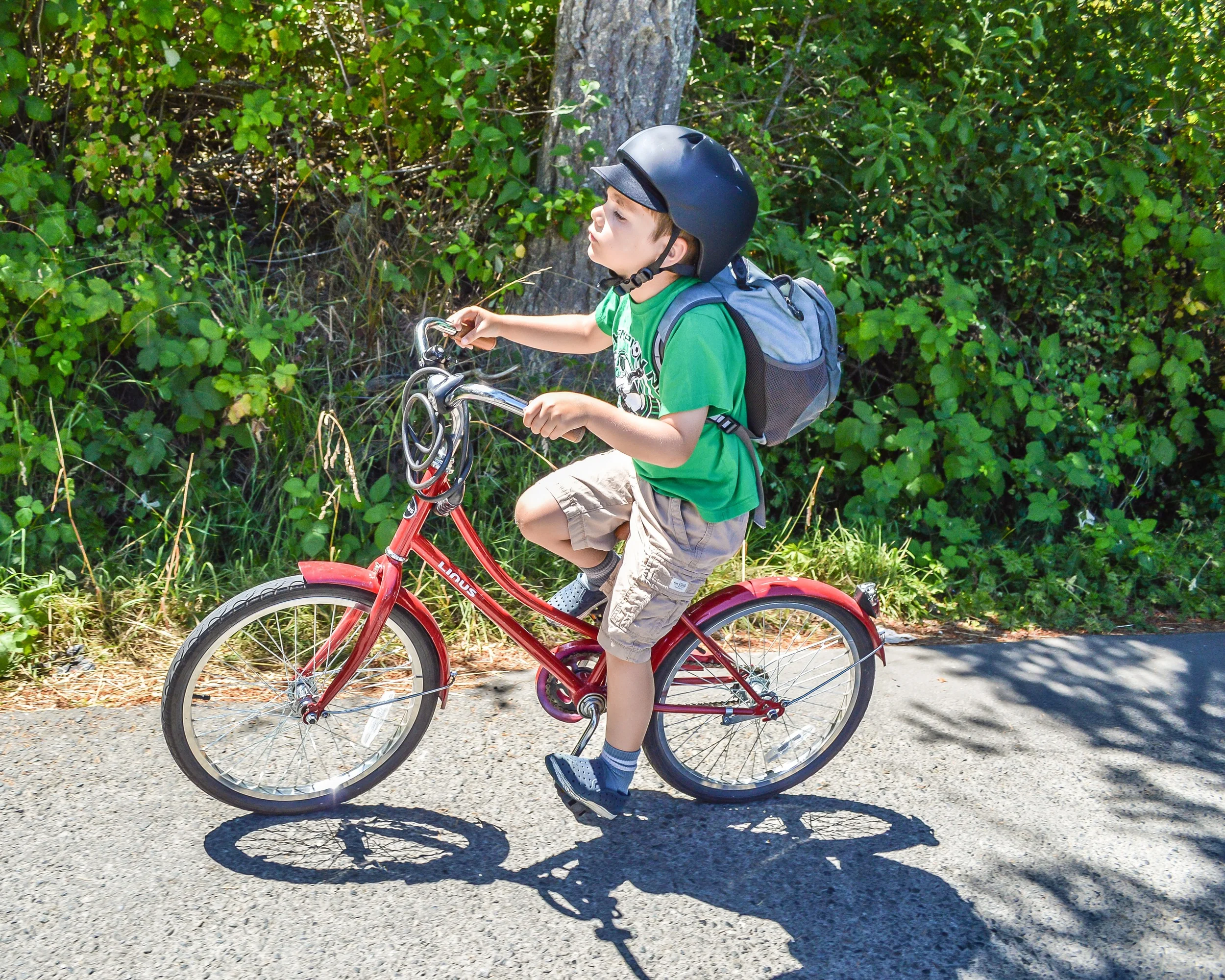 Turning his nose up at danger...or just powering through another long ride.