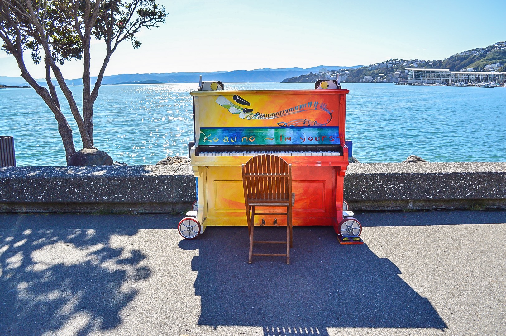 Public pianos had made their way to Wellington!