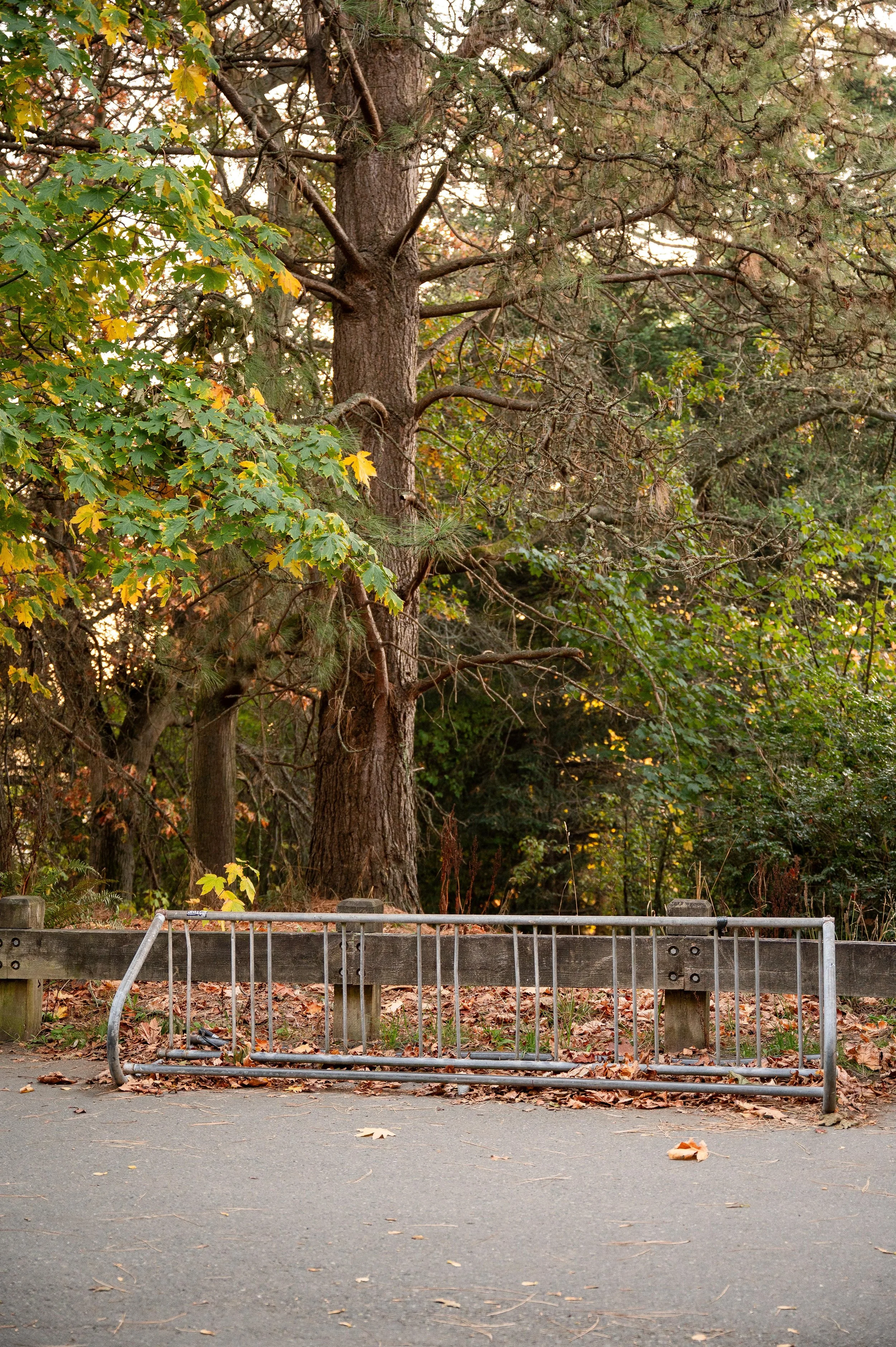 Bike Parking