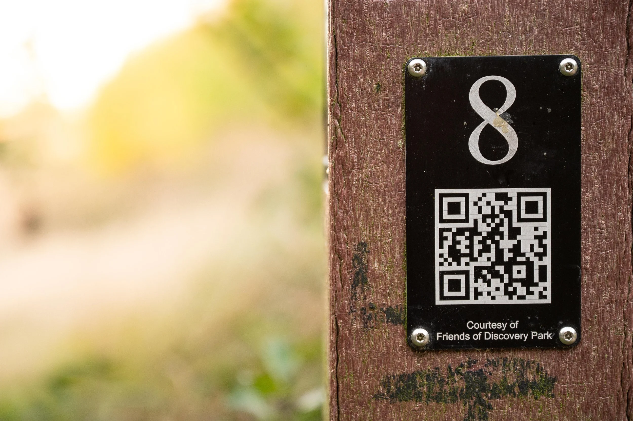 Lucky Number 8!