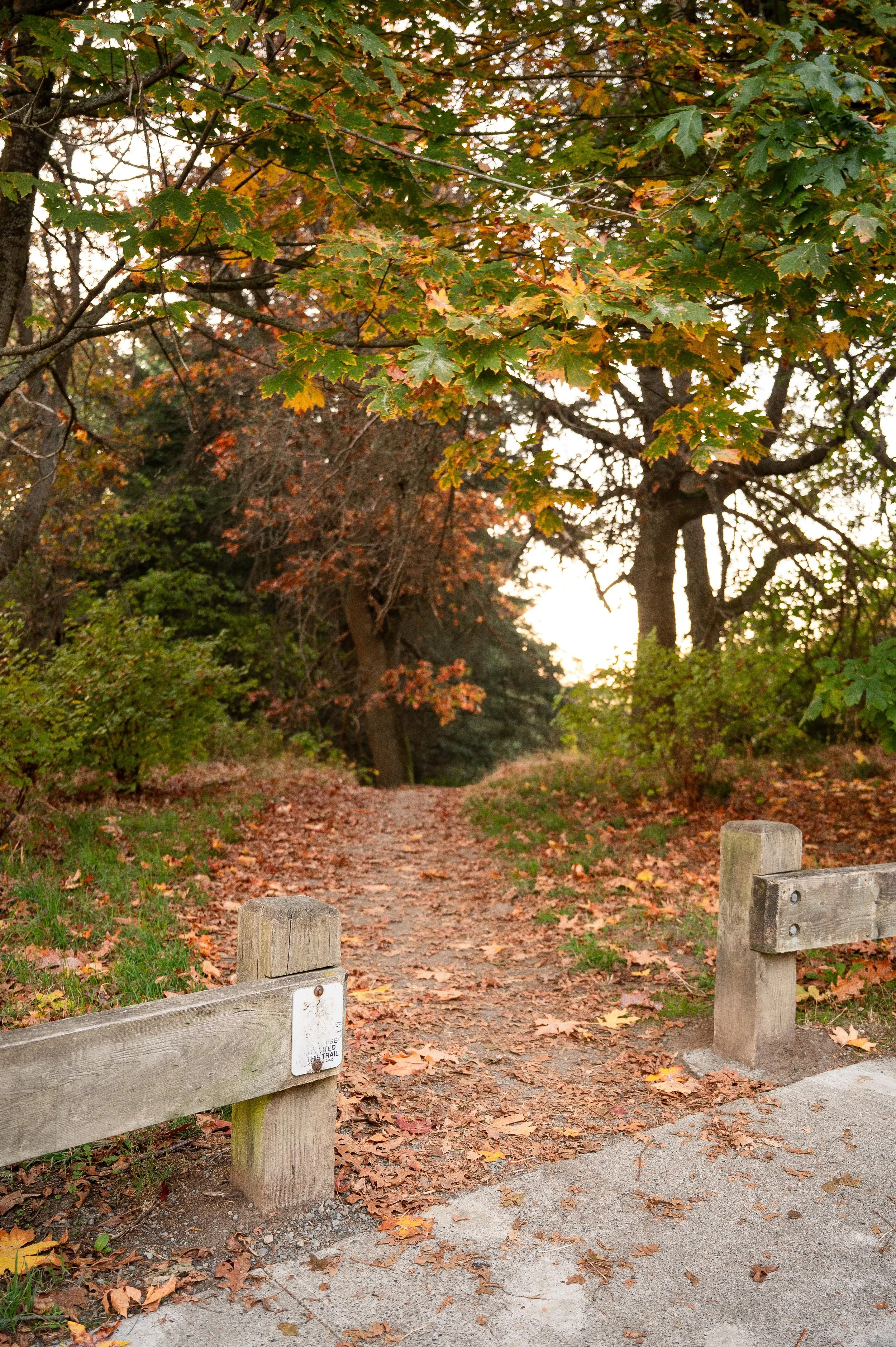 Off The Beaten Path