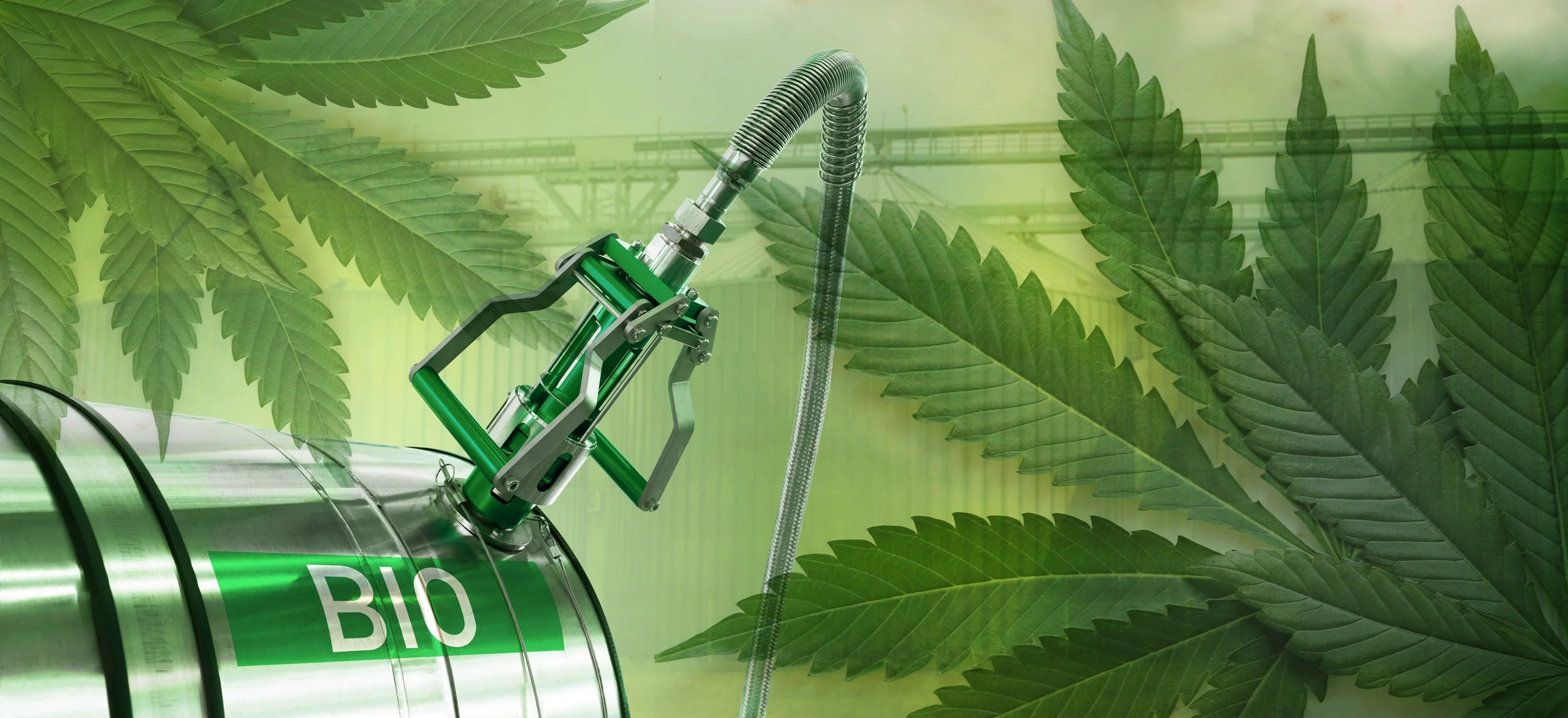 Hemp Fuel: Igniting the Green Revolution in Energy