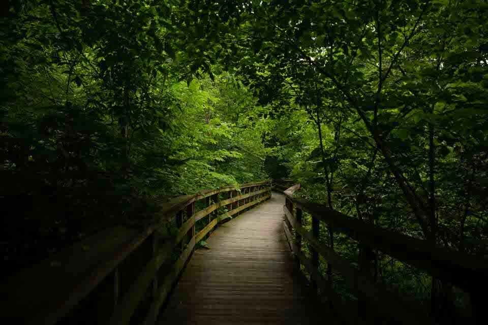 Enabeld-photography-columbus-ohio-locations_1_1.JPG