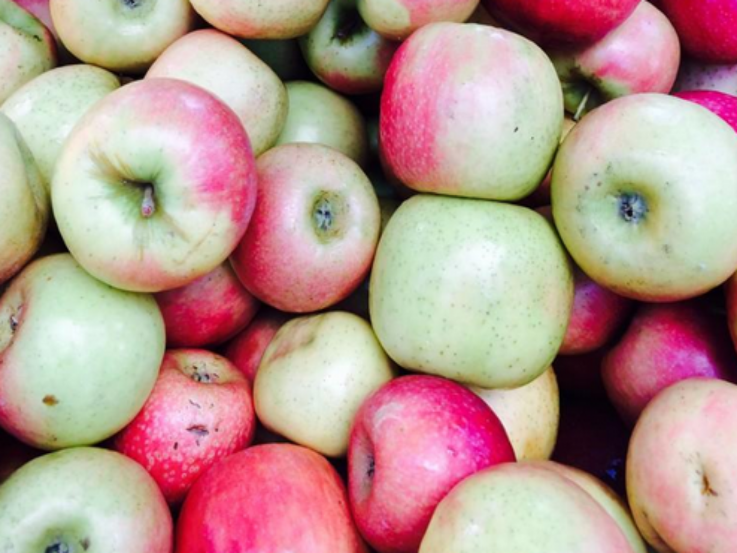 2Apples.png