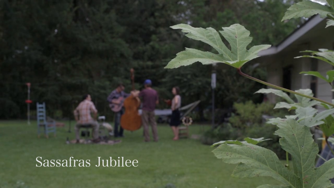 Le Voisinage - Sassafras Jubilee