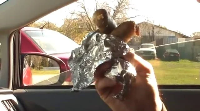 Boudin Run - Cecilia