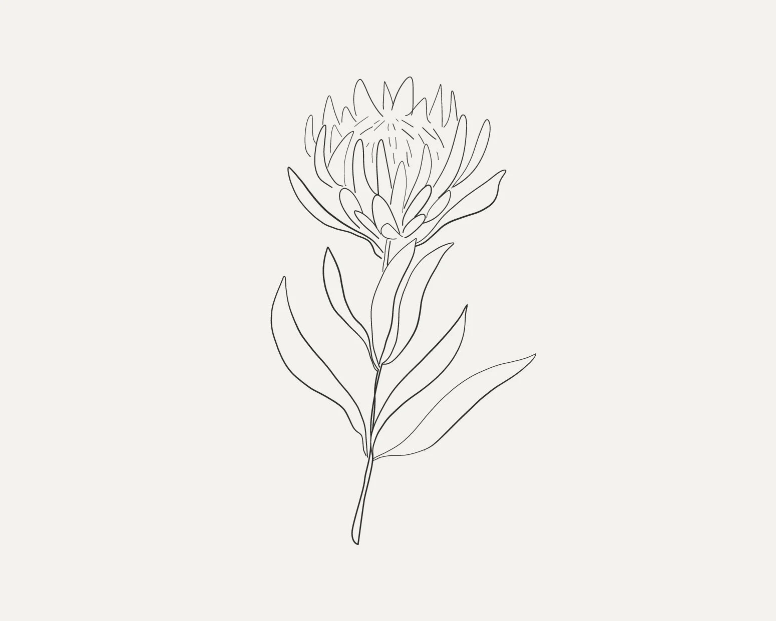 Waratah