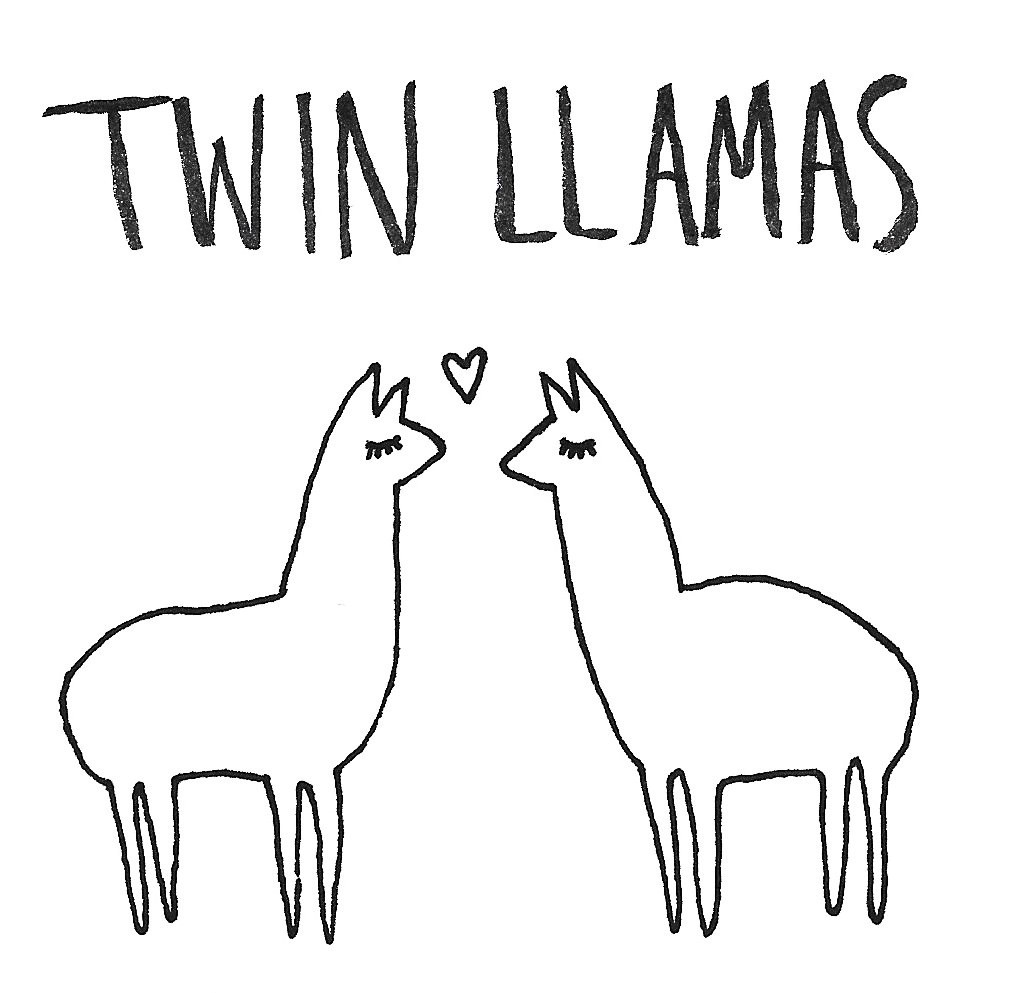 llamadesign0002.jpg